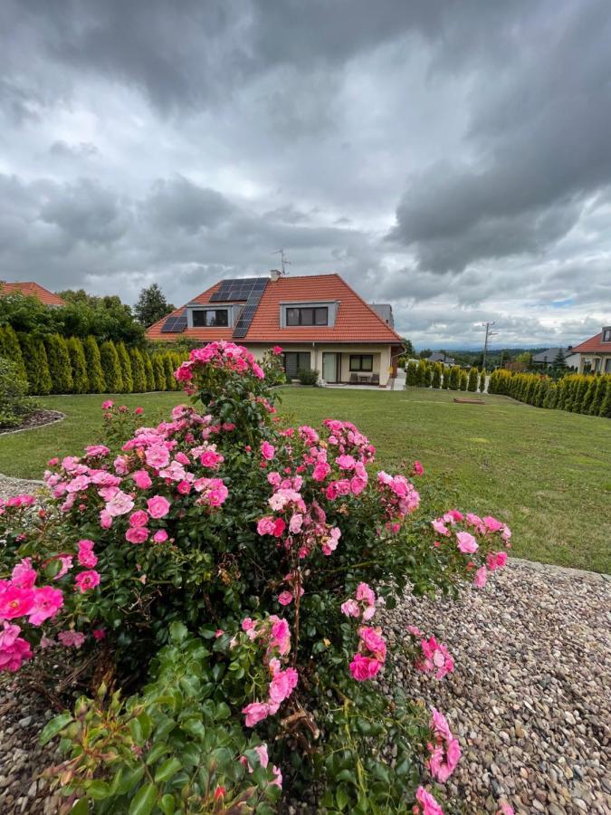 Sloneczne Apartamenty Bad Altheide Exterior foto